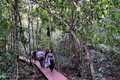 Rủ nhau đi “trốn nắng” ở Vườn Quốc gia Cát Tiên
