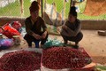 Chợ độc lạ ở Sơn La bán toàn côn trùng, đặc sản núi rừng