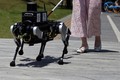 Trung Quốc thử nghiệm chó robot dẫn đường hỗ trợ người khiếm thị 