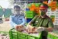 Phát hiện 20 tấn thực phẩm không rõ nguồn gốc ở Hà Nội