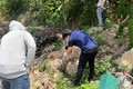  Khởi tố vụ án đổ dầu thải gây ô nhiễm ở Hà Nội