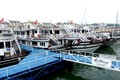 Du khách và doanh nghiệp phản ứng việc thu phí qua cảng Tuần Châu