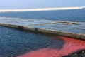 Hiện tượng nước biển màu đỏ ở miền Trung: Đã tìm ra “thủ phạm“