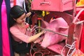 Nghi thức chém lợn tại lễ hội Ném Thượng năm 2018 có gì đặc biệt?