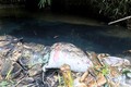 Nước máy Hà Nội bốc mùi lạ vì dầu thải: Hung thủ nào “xả” vào nguồn nước Sông Đà?