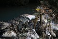 Xả dầu thải Công ty Gốm sứ Thanh Hà “đầu độc” nước sông Đà: Do tiếc 35 triệu tiêu huỷ?