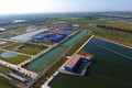 Hà Nội “bác” bù giá 200 tỷ cho Nước Sông Đuống: PCT Hà Nội nói gì?
