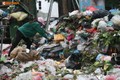 Tạm dừng bãi rác Nam Sơn: Hà Nội ô nhiễm.. sẽ hôi thối mức nào?