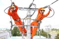 Covid-19: Malaysia giảm giá điện cho dân, Tập đoàn Điện lực Việt Nam có “học theo”?