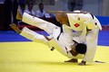 Mục tiêu của judo Việt Nam: Giành từ 3-4 HCV SEA Games 32