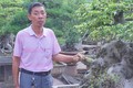 Một nông dân Nam Định xây nhà cao cửa rộng nhờ trồng cây cảnh