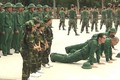 4 cặp bố con sao Việt toát mồ hôi làm tân binh