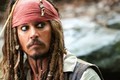 Johnny Depp đối diện 10 năm tù vì...  hai chú chó