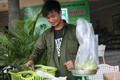 Kinh doanh thất bại, Lệ Rơi bán ổi ở Hà Nội