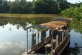 Sát thủ diệt rùa và 'rùa Hồ Gươm' khổng lồ ở Phú Thọ 
