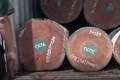 Video: Bất ngờ bên trong những container ngụy trang tinh vi ở cảng Cát Lái