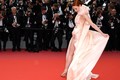 Khoảnh khắc gây tranh cãi trên thảm đỏ khai mạc LHP Cannes