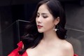 "Mỹ nhân lộ ngực" đại diện Việt Nam thi Hoa hậu Trái Đất 2019