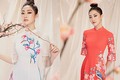 Hoa hậu Lương Thùy Linh diện áo dài “nịnh dáng”, xuân sắc rạng ngời