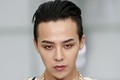 Giới giải trí Hàn Quốc chấn động vì G-Dragon (Big Bang) bị khởi tố