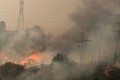 Cháy rừng làm ít nhất 51 người chết, Chile ban bố tình trạng khẩn cấp 