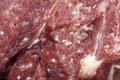Cách phát hiện thịt bò, thịt lợn nhiễm giun sán 