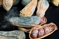 Những thứ trong nhà bếp “ẩn nấp” độc tố aflatoxin gây ung thư