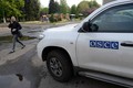 Tự vệ Slavyansk thả toàn bộ quan sát viên OSCE