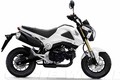 Honda MSX 125 giá 70 triệu đồng sắp trình làng VN