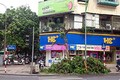 Cây xanh trên phố lớn Hà Nội bị chặt trộm giữa đêm