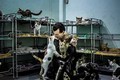 Người đàn ông Pháp nuôi hàng trăm chó mèo bị bỏ rơi ở Sài Gòn