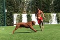 Video: Messi phô diễn kỹ thuật cá nhân điêu luyện bên cạnh cún cưng