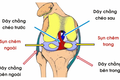 Chấn thương rách sụn chêm như Văn Toàn nguy hiểm ra sao?