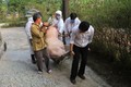 Phát hiện thêm ổ dịch tả lợn Châu Phi mới tại Thừa Thiên - Huế