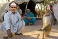 Fan chế ảnh hài hước giúp Federer khám phá Ấn Độ