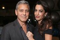 Vợ George Clooney hạn chế đi lại để giữ thai đôi