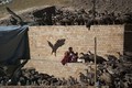 Kinh hãi cảnh kền kền ăn thịt xác chết ở Tây Tạng 