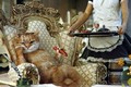 Những sự thật chứng minh loài mèo đang "xưng bá" thế giới 