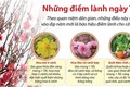 Những điềm lành ngày Tết theo quan niệm dân gian