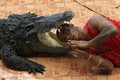 Rùng rợn người đàn ông thò đầu vào miệng cá sấu "quái vật"