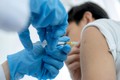 Lý do vaccine COVID-19 không đem lại miễn dịch suốt đời như các loại vaccine khác