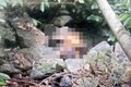 Phát hiện thi thể người phụ nữ không mặc áo trong rừng