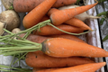 Ăn cà rốt thường xuyên, chuyện gì xảy ra với sức khỏe? 