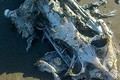Bí ẩn “quái vật biển” khiến con người khiếp vía