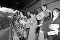 Loạt ảnh cuộc sống nhộn nhịp ở Tokyo năm 1950