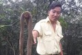 Hàng trăm con rắn bị thả ra khu dân cư Đồng Nai