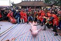 Dân Ném Thượng lên tiếng về lễ hội chém lợn