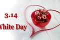 Sự tích lãng mạn về nguồn gốc ra đời Valentine Trắng