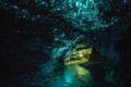 Choáng ngợp hang động New Zealand đẹp như dải ngân hà