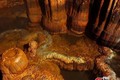 Tuyệt đẹp đá rồng trong hang động hàng triệu năm tuổi